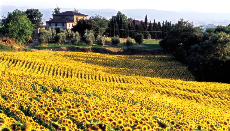 Bttqf-tuscany-biking-3